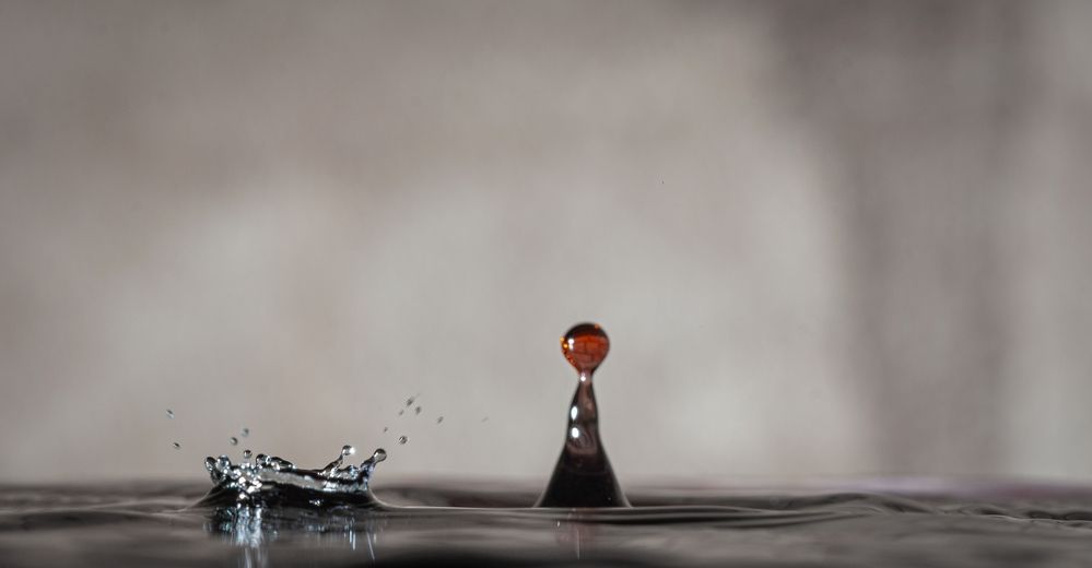 Photograph by Сергей Басов