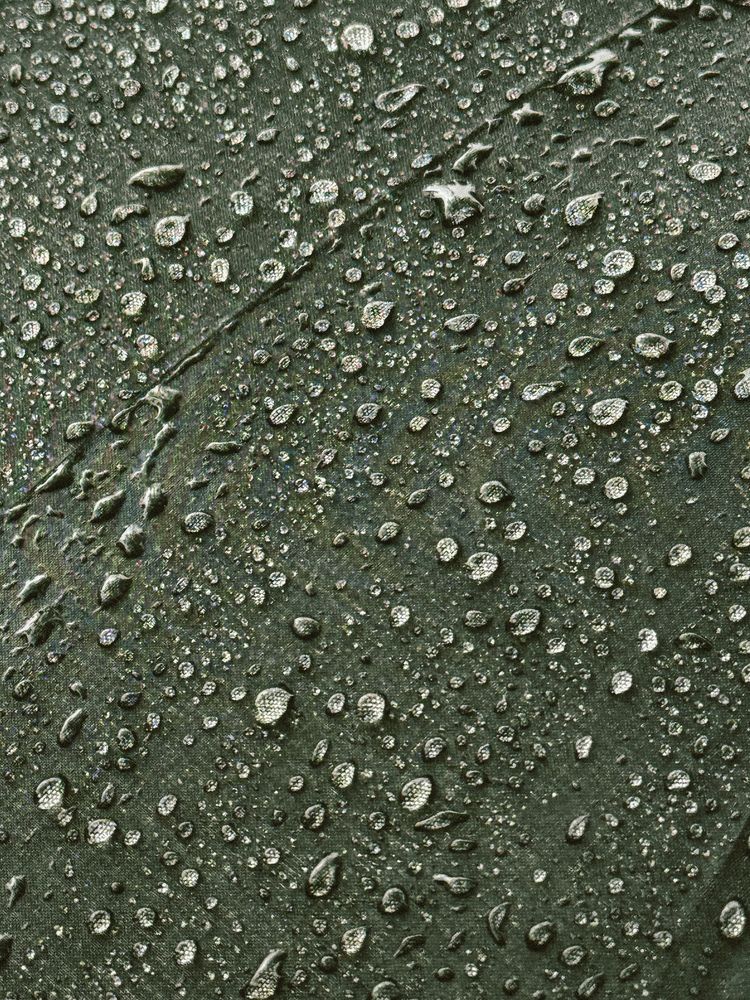 Photograph by Julia Smilovitsky