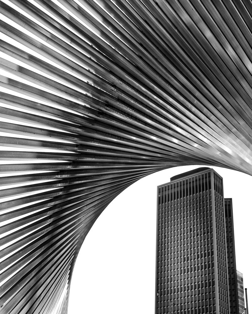 Photograph by Mostafa Mohammad Beigi