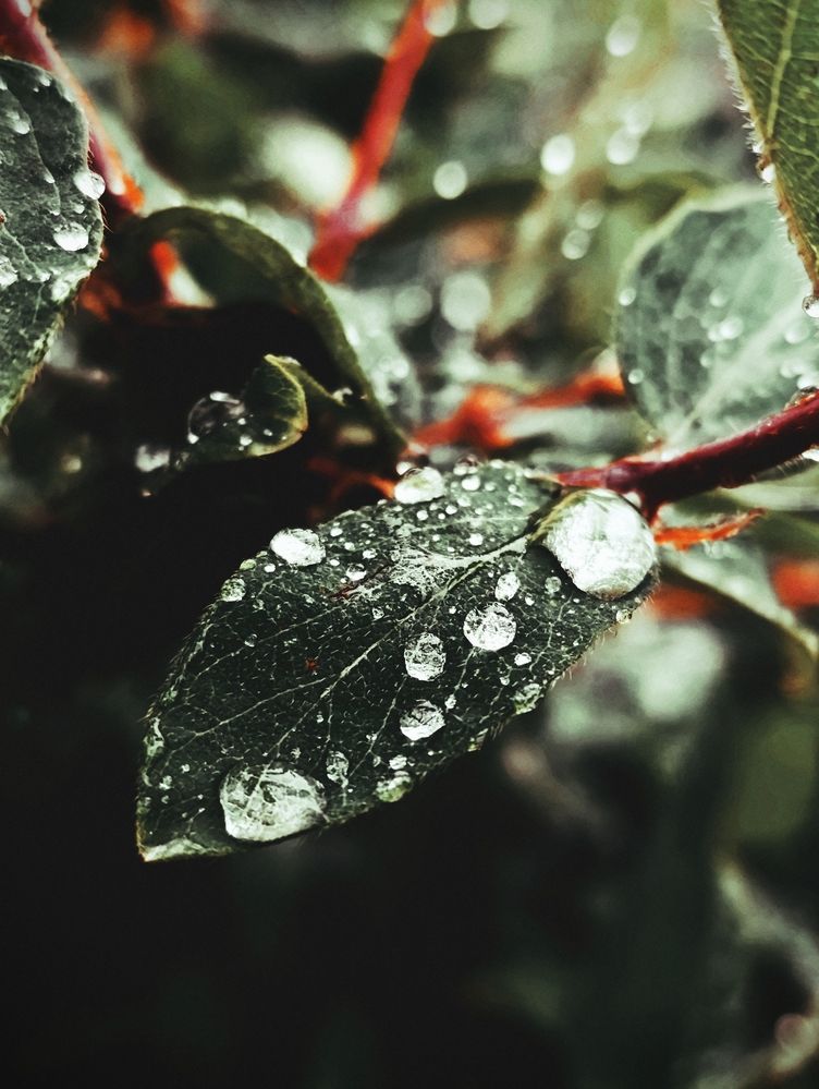 Photograph by Наталья Смирнова