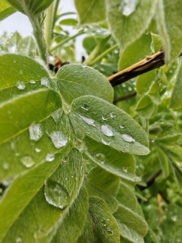 Photograph by Альбина