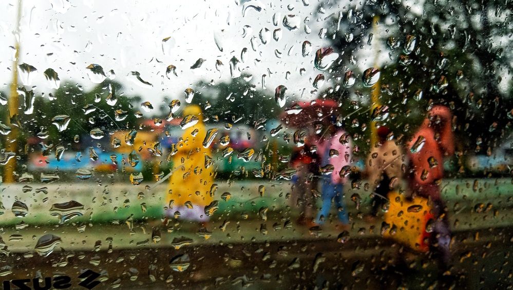 Фотография автора Captured Chronicles