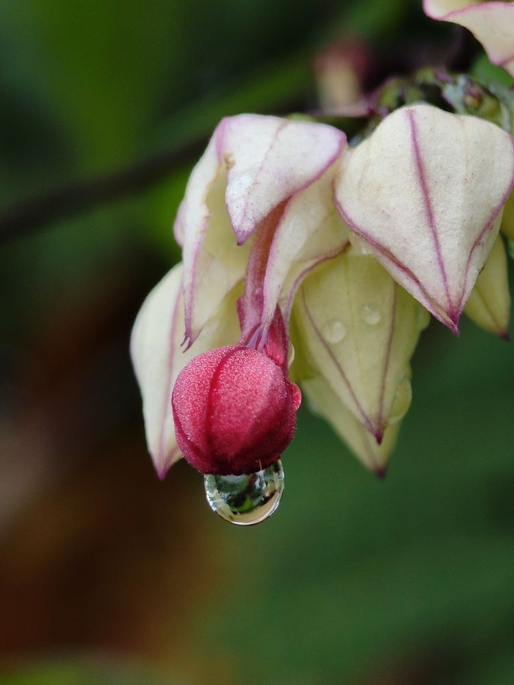 Photograph by Anil Yadav