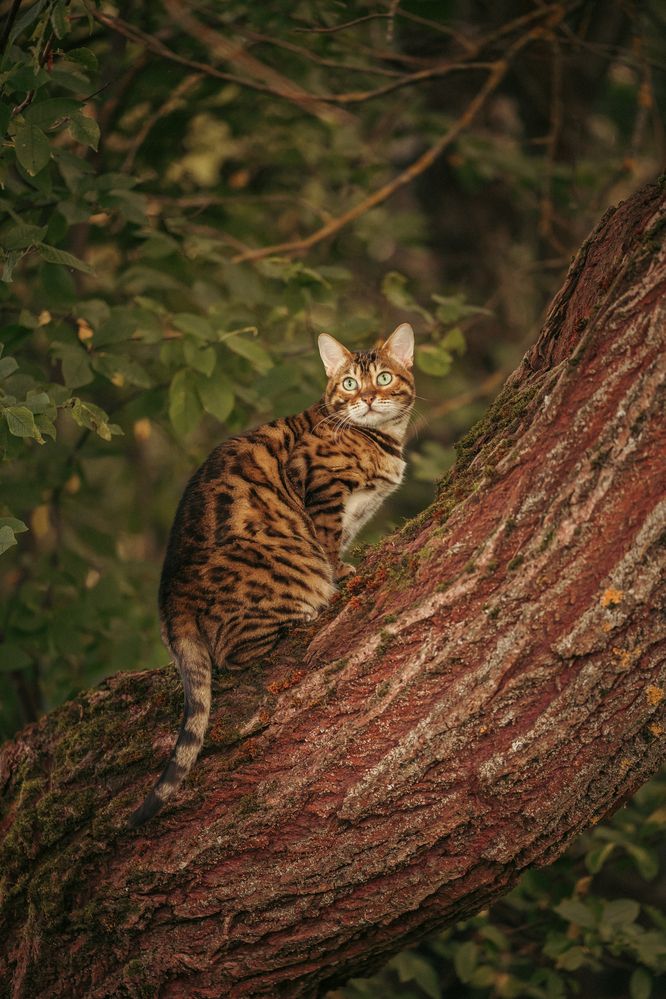 Photograph by Dina Damotseva