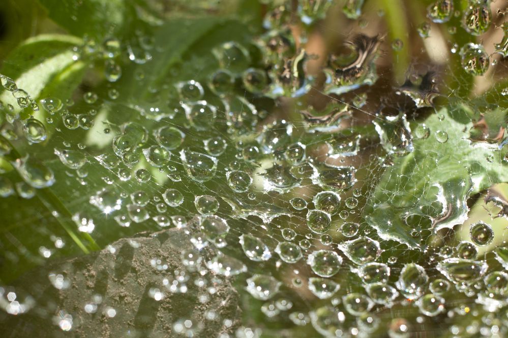 Photograph by Павел Швецов