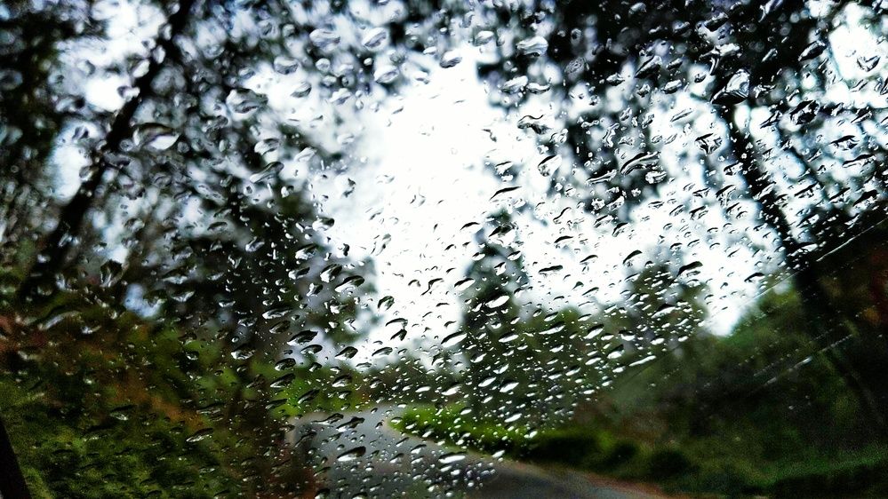 Фотография автора Captured Chronicles