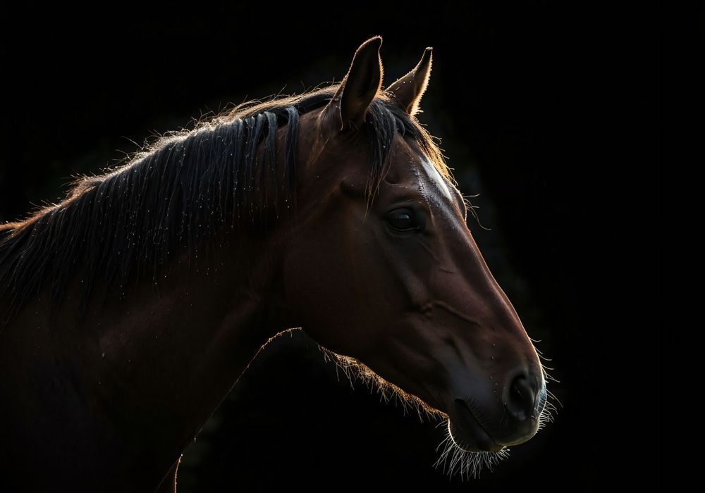 Photograph by Алексей Амилющенко