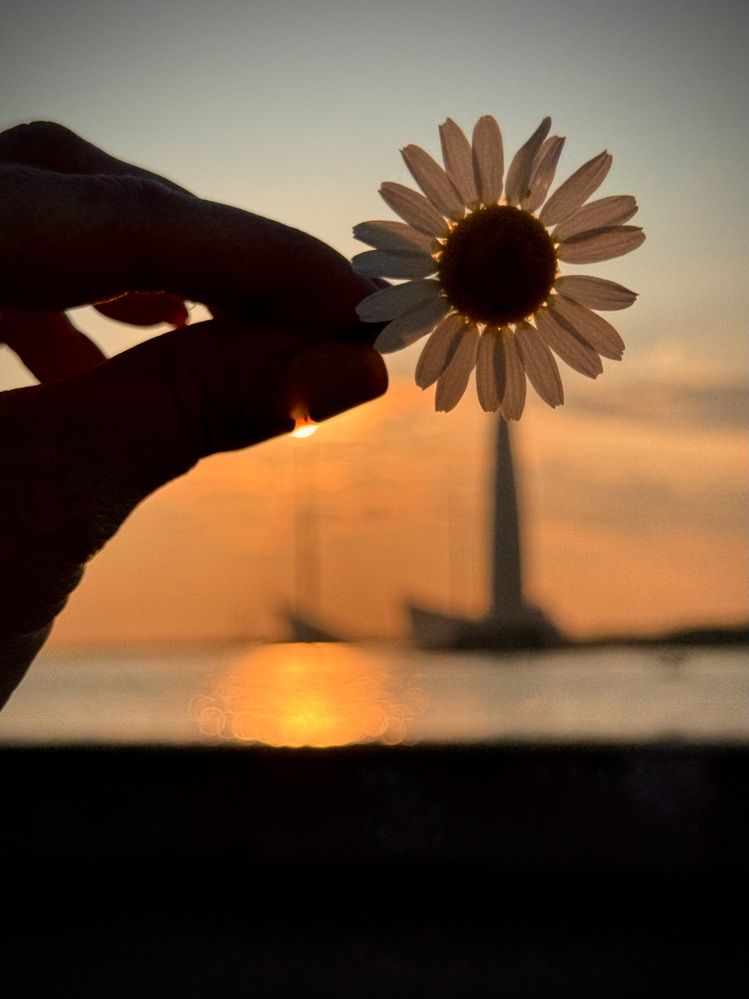 Photograph by Татьяна Смирнова