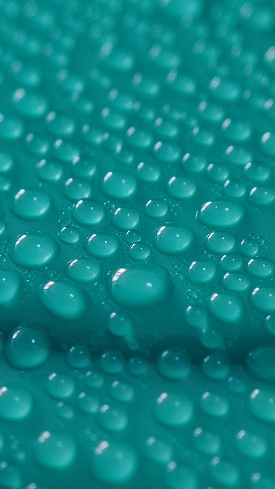 Фотография автора Анна Морозова