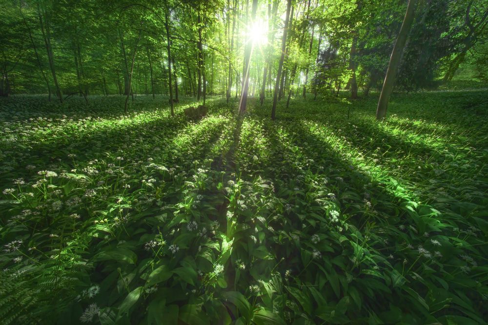 Photograph by Markus Albert