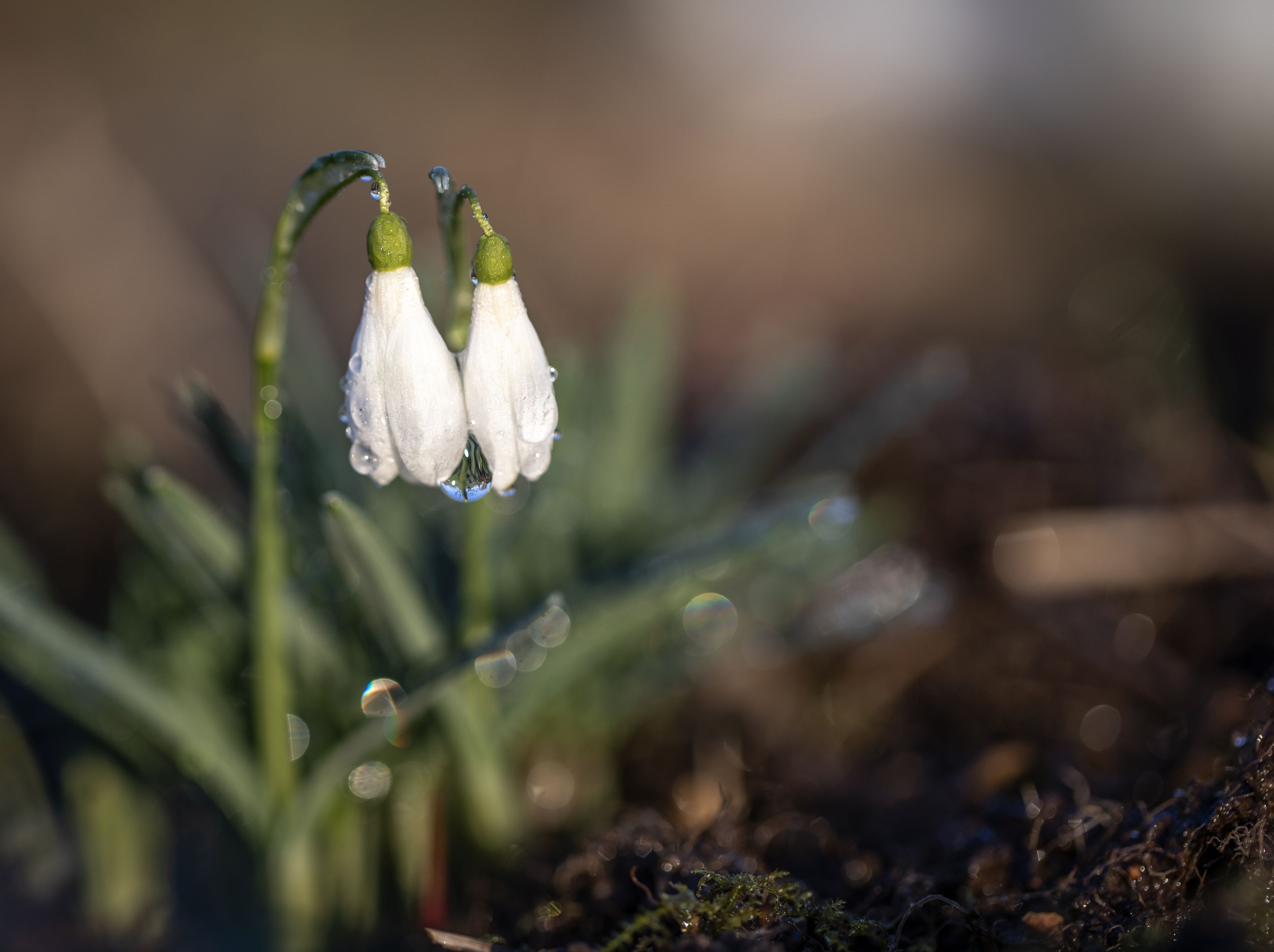 Photograph by Татьяна Феденкова