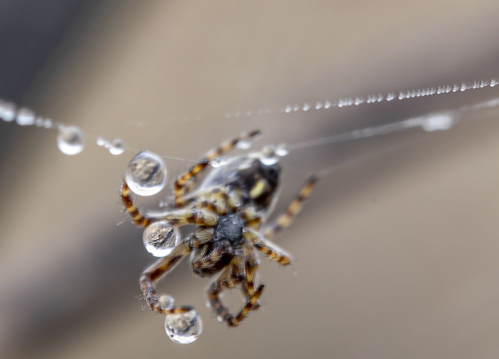 Photograph by Татьяна Феденкова