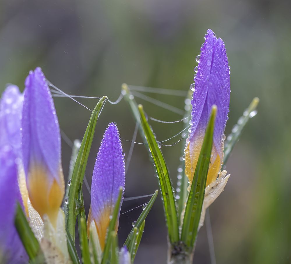 Photograph by Татьяна Феденкова