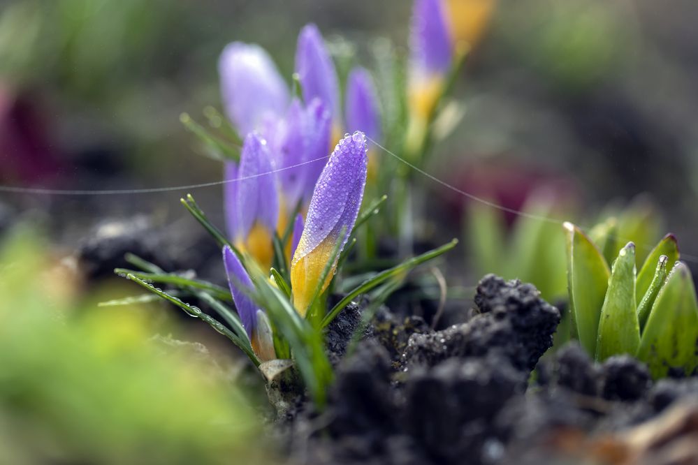 Photograph by Татьяна Феденкова