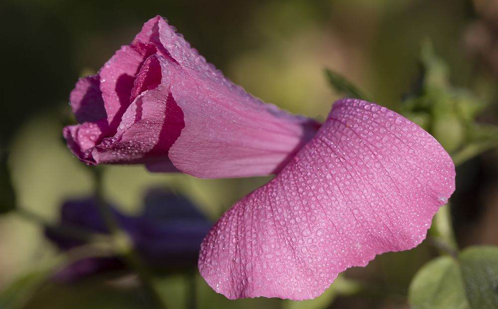 Photograph by Татьяна Феденкова