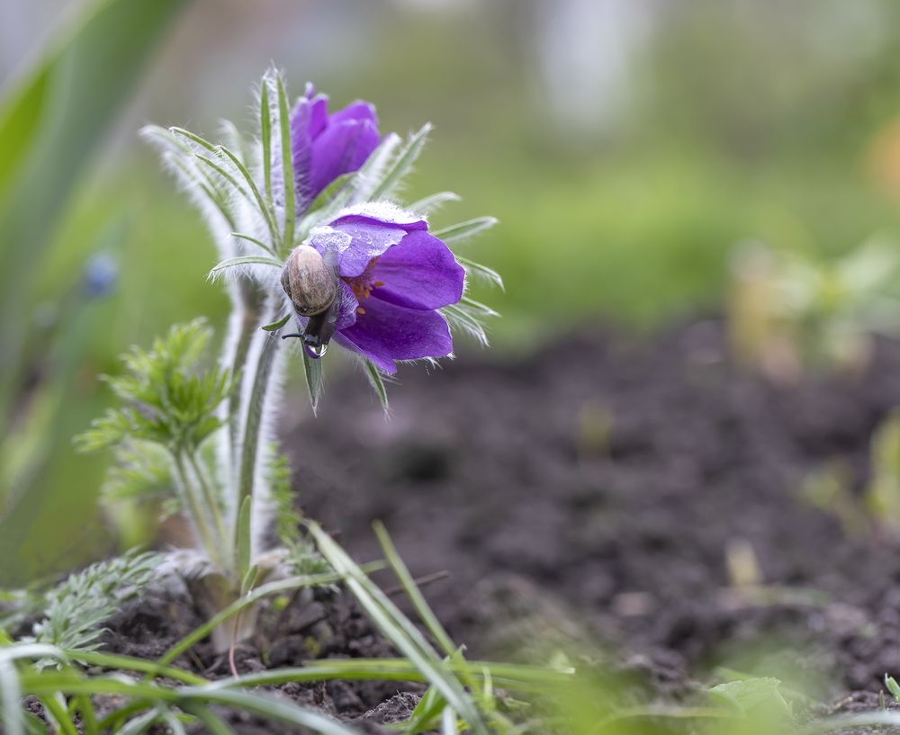 Photograph by Татьяна Феденкова