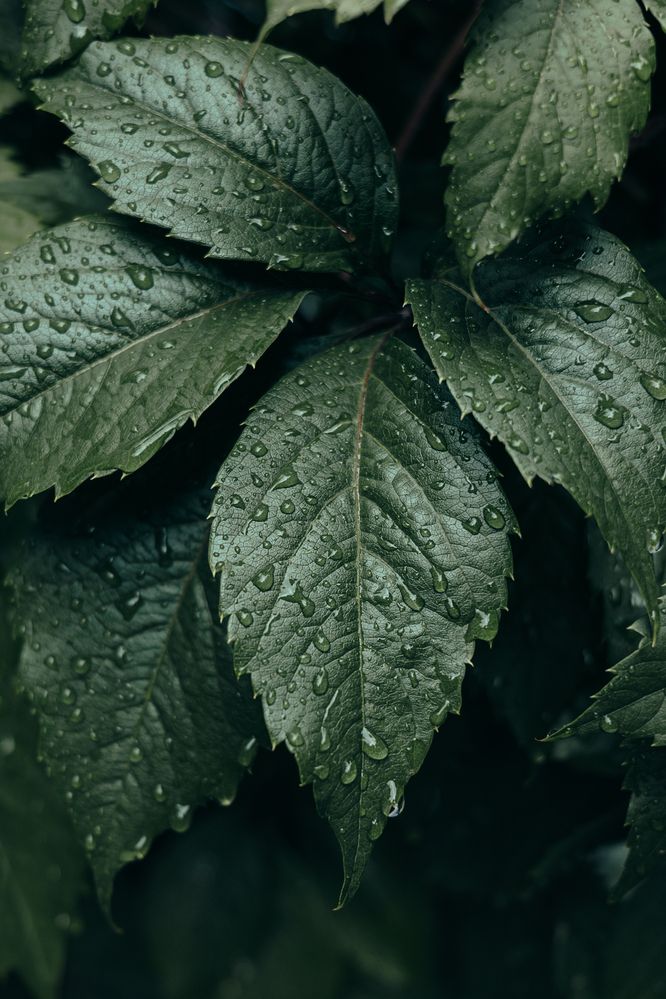 Photograph by Остапенко Алина