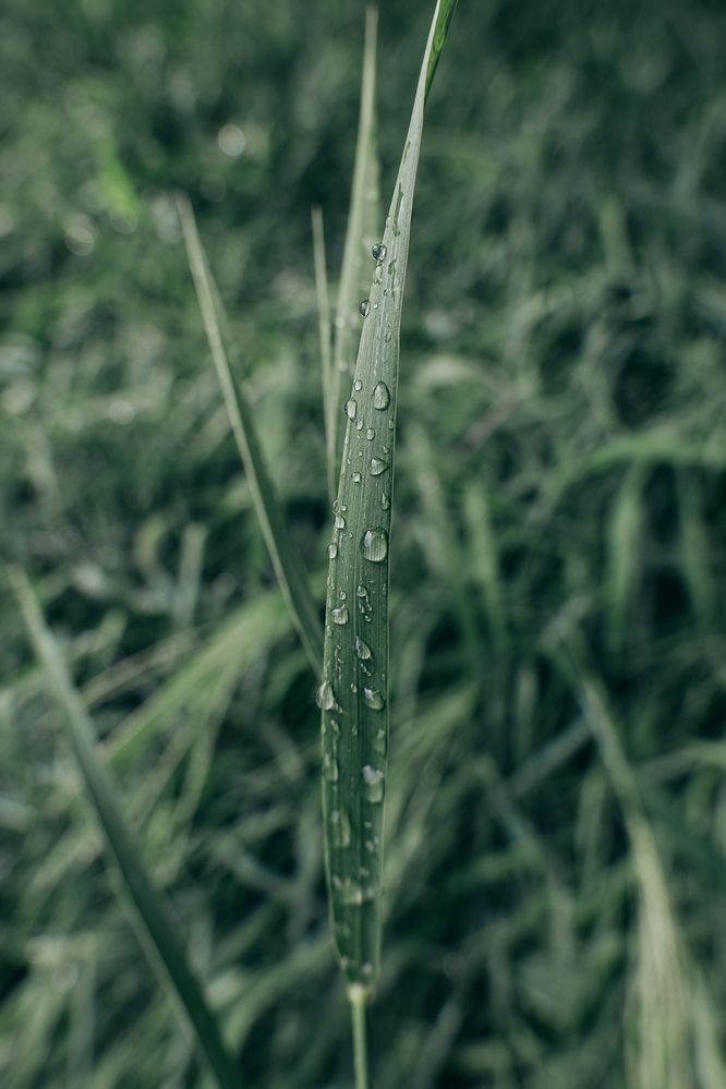 Photograph by Остапенко Алина