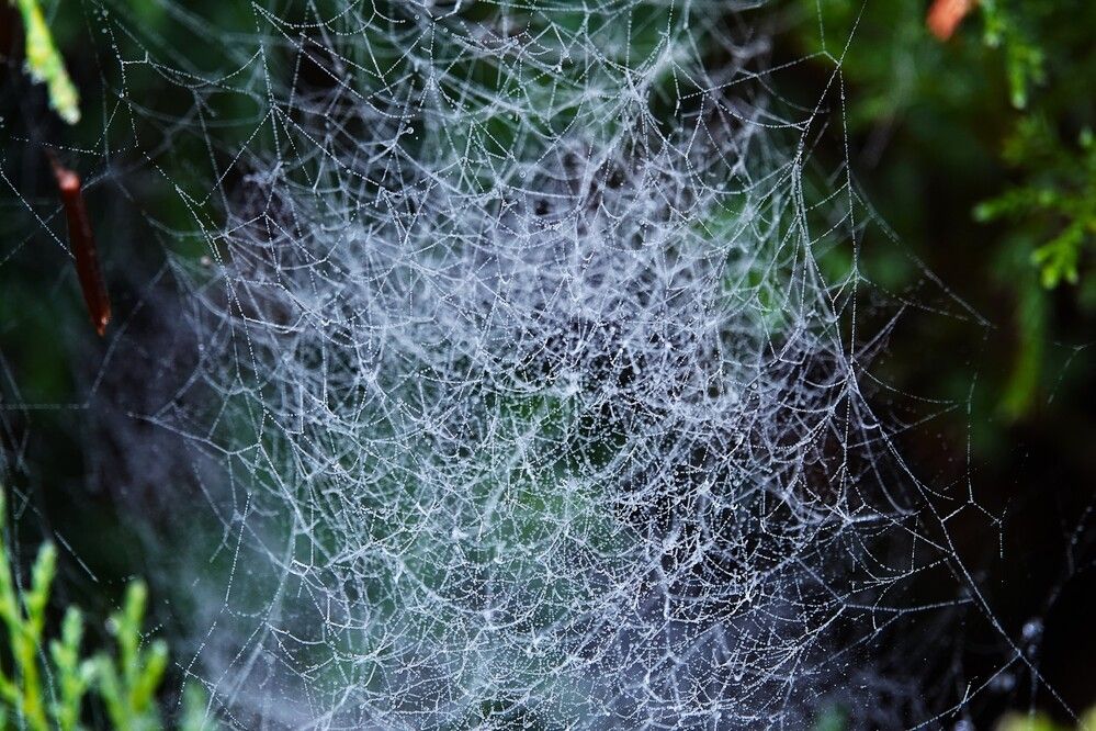 Photograph by Zakharov Matvey