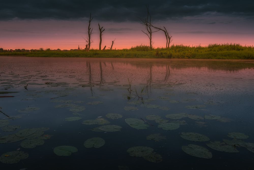Photograph by Budyta Dariusz