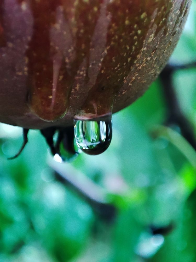 Photograph by Хоменчук Людмила