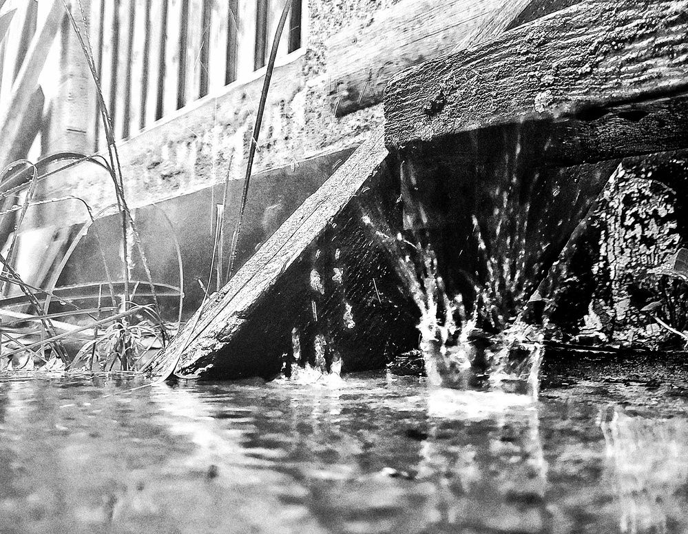 Photograph by Хоменчук Людмила