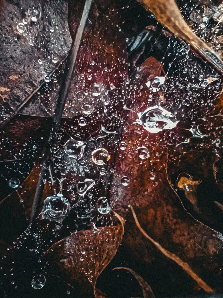 Photograph by Светлана Таркан