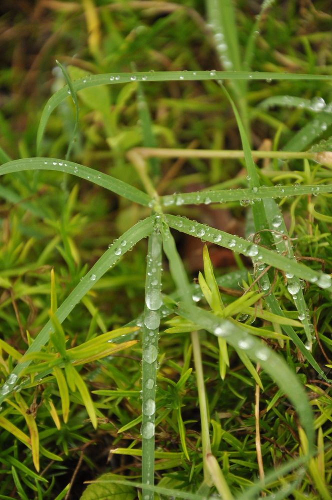 Фотография автора Екатерина Ефанова