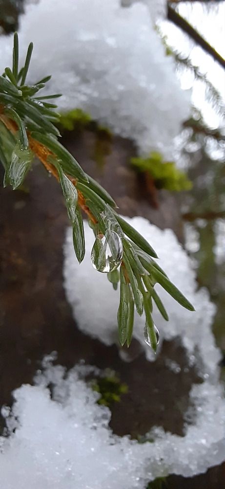 Photograph by Светлана Цапина