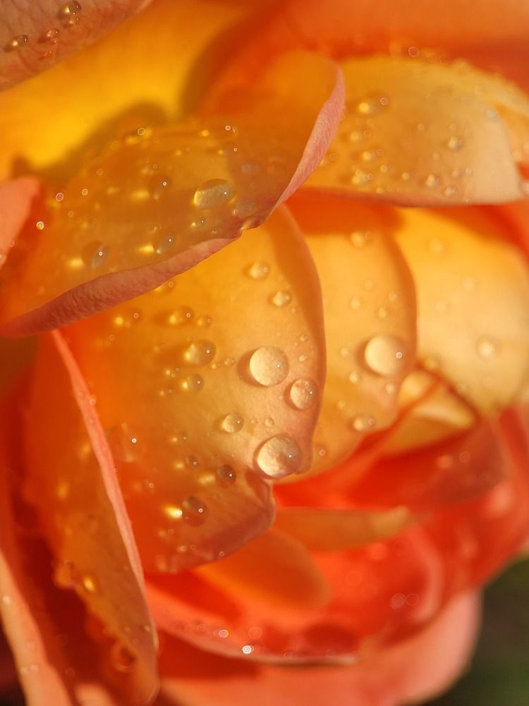 Photograph by Алексей Горин