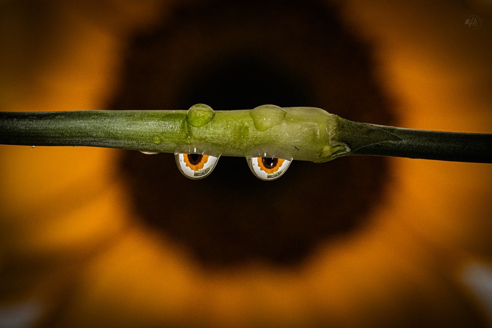 Photograph by Hardik Shah