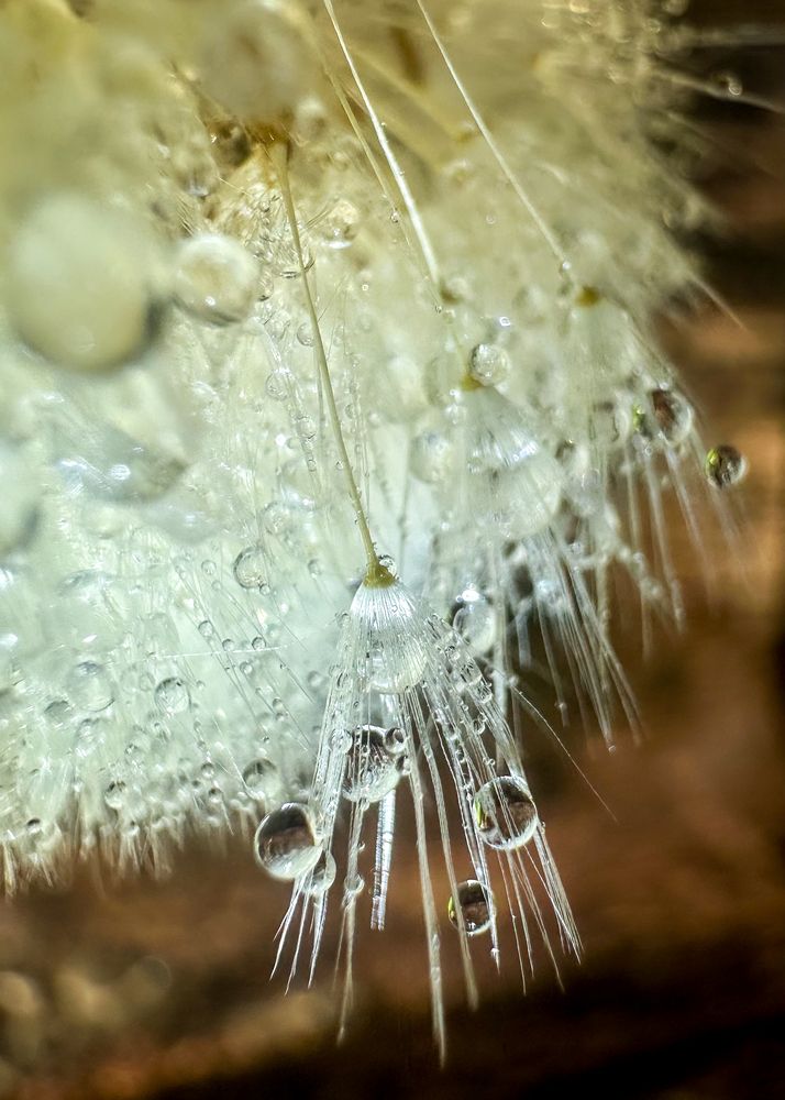 Photograph by Елена Болдырева