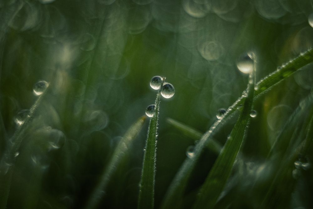 Photograph by Щербак Анатолий