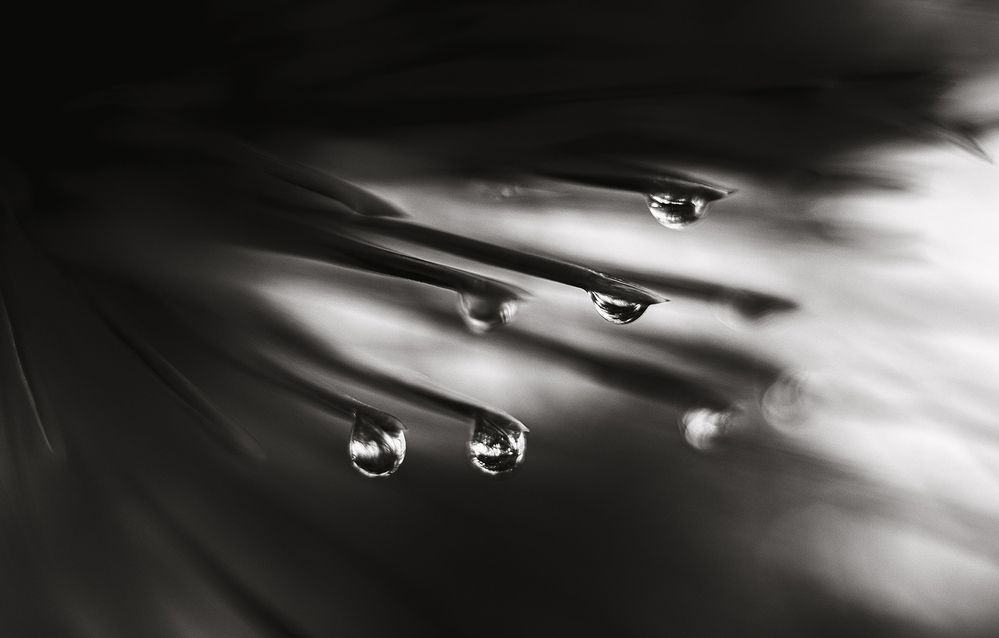 Photograph by Щербак Анатолий