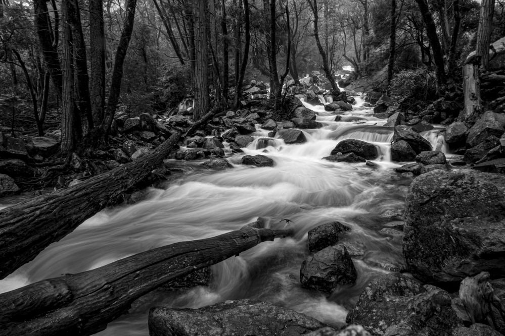 Photograph by Daniel Hector Oliveros