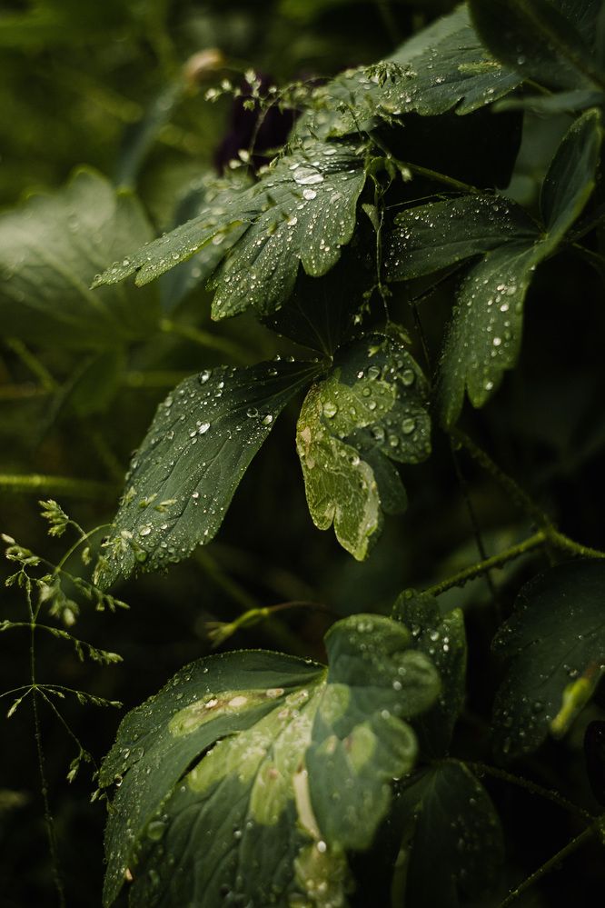 Photograph by Юлия Черкасова