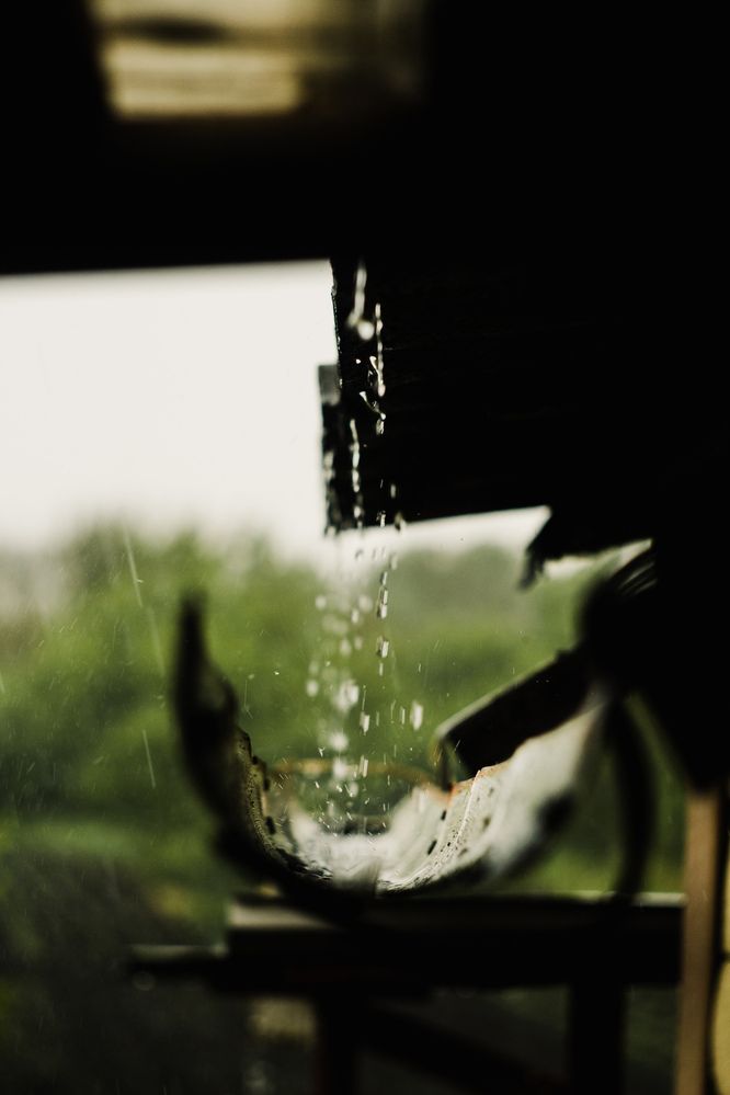 Photograph by Юлия Черкасова