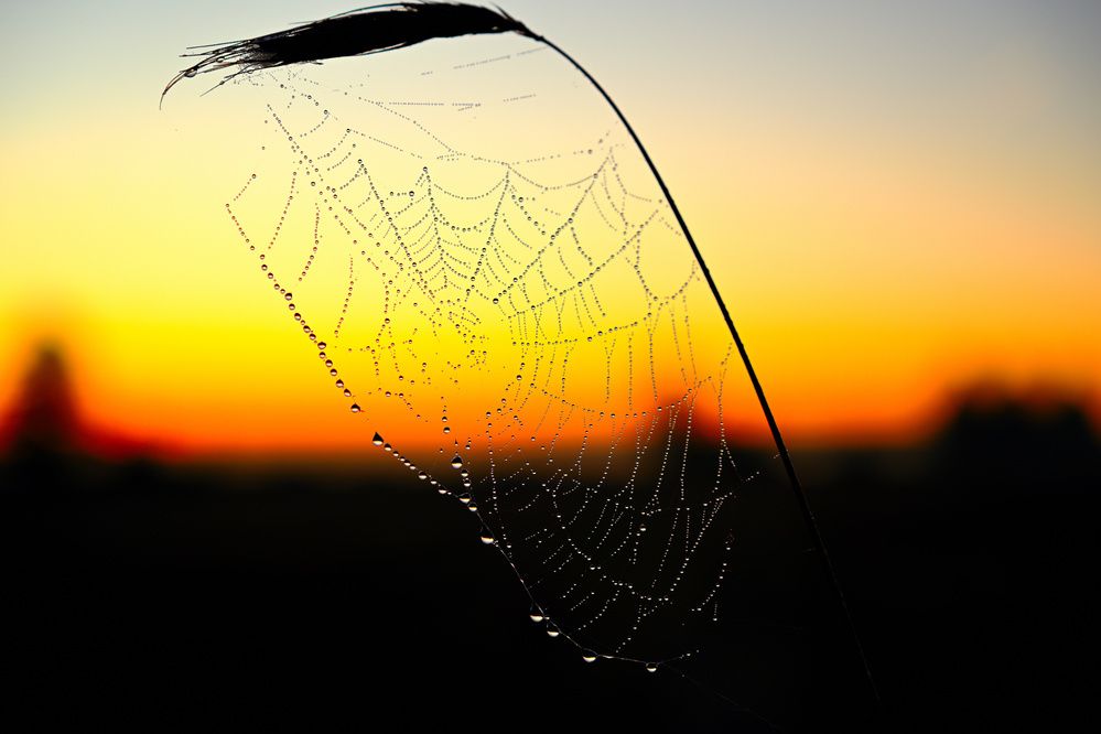 Photograph by Дмитрий Павлов