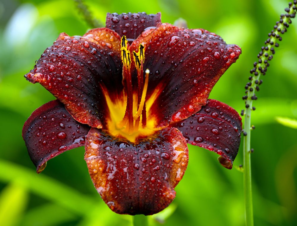 Photograph by Ольга Дерябина