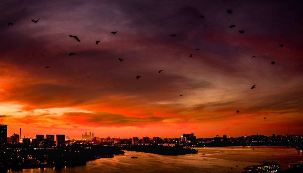 Photograph by Владимир Говоров