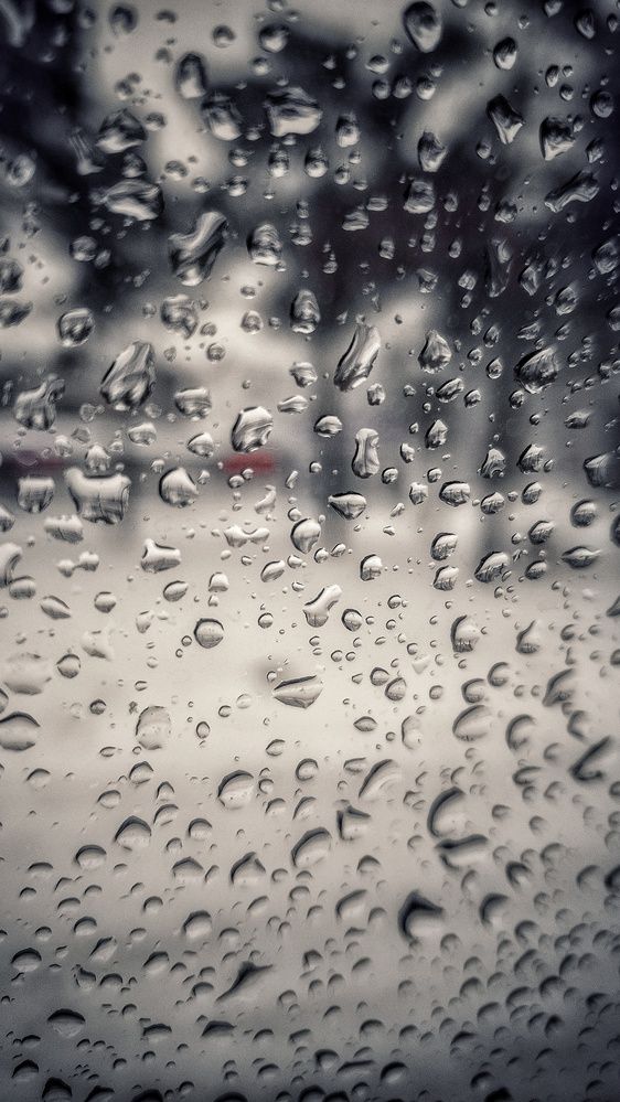 Photograph by Евгений Беляев