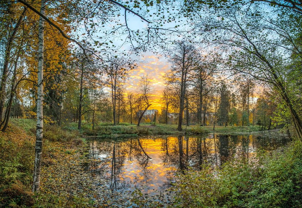 Photograph by Валерий Смирнов