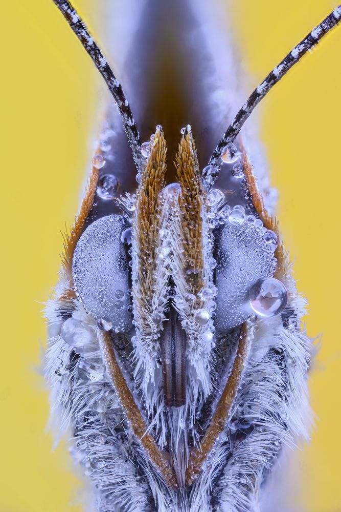 Photograph by Camilla Zocchi