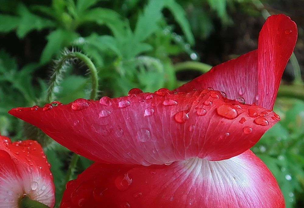 Photograph by Нина