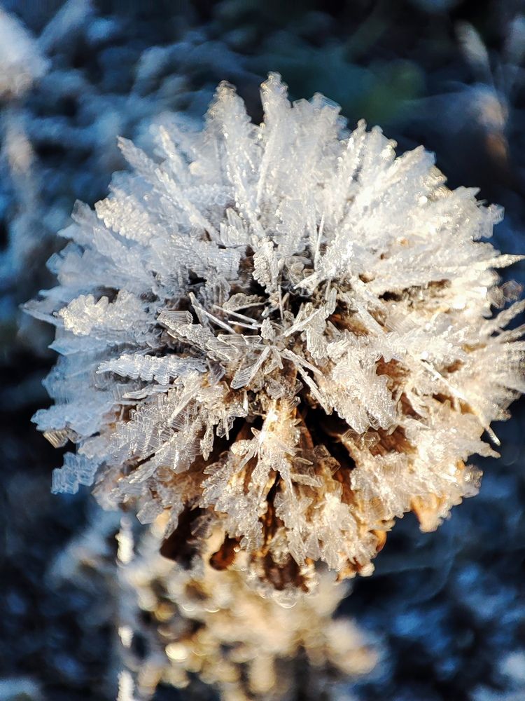 Photograph by Людмила Кузнецова