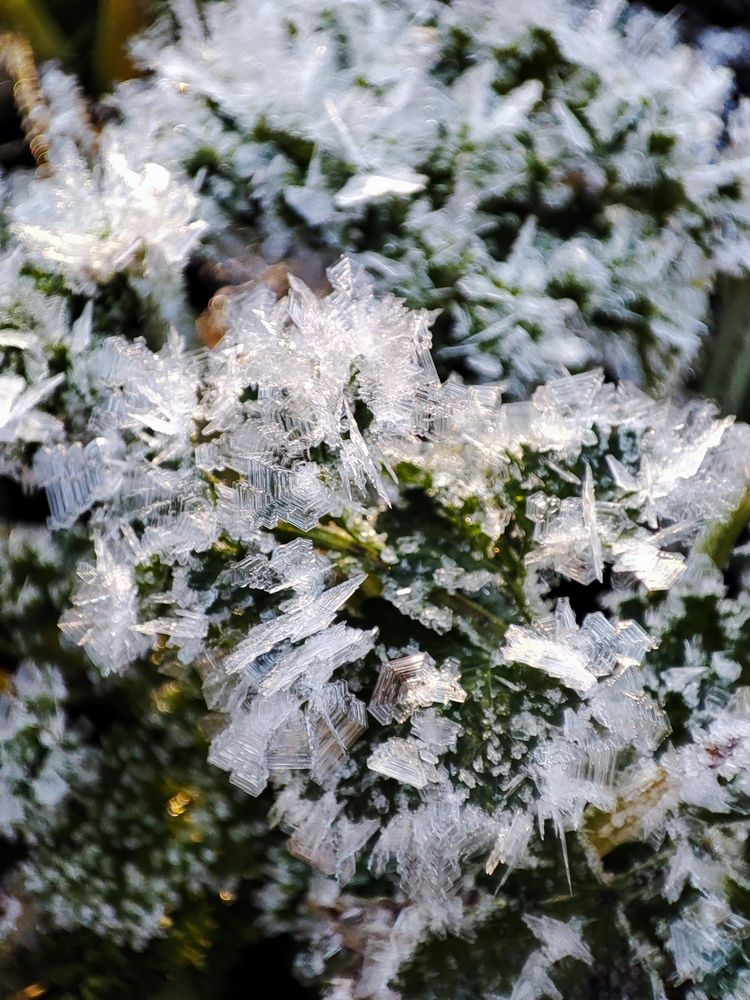 Photograph by Людмила Кузнецова