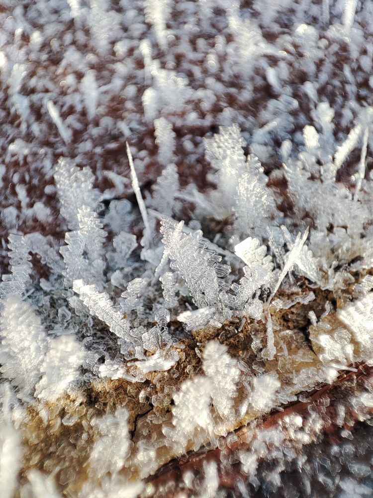 Photograph by Людмила Кузнецова