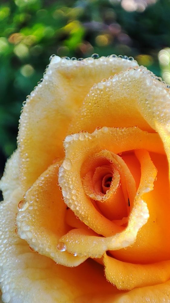 Photograph by Людмила Кузнецова