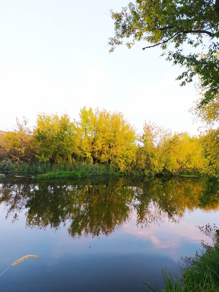 Фотография автора Людмила Кузнецова