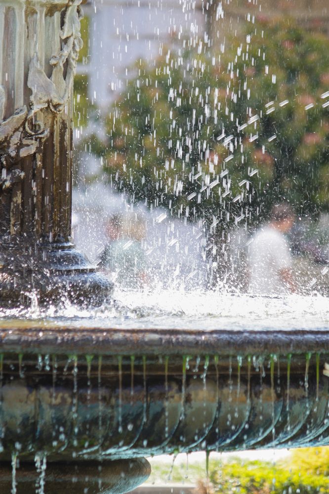 Photograph by Титова Наталья